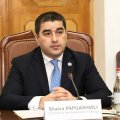 Спикер грузинского парламента вновь обвинил посла Германии в беспорядках