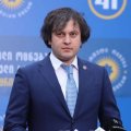 Кобахидзе возложил ответственность за беспорядки в Тбилиси на посла ЕС