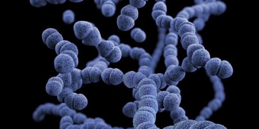 Yeni antibiotik tapılıb: alimlər 50 il əvvəl kəşf edilmiş maddədə gizli potensial aşkarlayıb