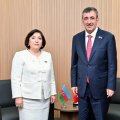 Джевдет Йылмаз и Сахиба Гафарова обсудили межпарламентское сотрудничество
