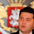Бывшего министра обороны Грузии задержали за организацию протеста