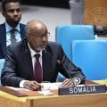 В январе 2026 года председательство в Совбезе ООН перешло к Сомали