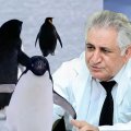 Zooloq məşhur “nihilist pinqvin”dən danışdı: “Bunu o vaxt müşahidə edə bilirsən ki...” - FOTO+ÖZƏL