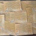 569 неправительственных организаций из 103 стран подписали Бакинскую декларацию по WUF13