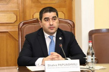 Спикер грузинского парламента вновь обвинил посла Германии в беспорядках