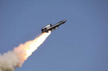 Зеленский анонсировал массовое производство крылатых ракет «Фламинго»