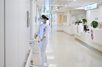 В Гонконге число заболевших лихорадкой чикунгунья достигло 70 человек