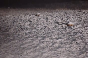 Снегопад в Лачинском районе