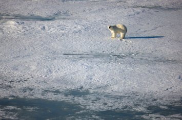 НАТО усиливает разведку вблизи границ России в Арктике