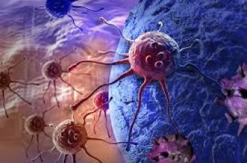 В США обвинили исследователя из КНР в контрабанде кишечной палочки