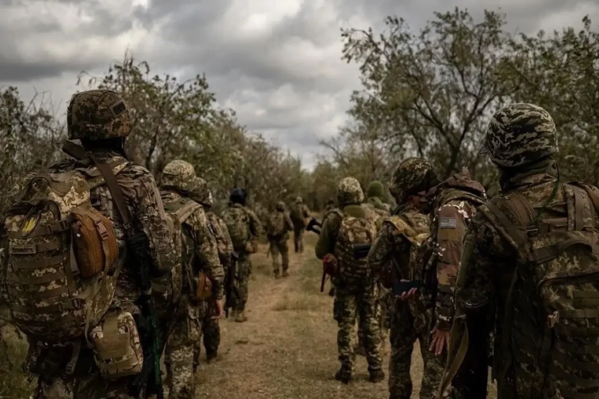 Зеленский назвал условие вывода ВСУ из Донбасса