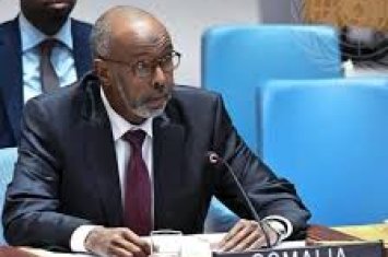 В январе 2026 года председательство в Совбезе ООН перешло к Сомали