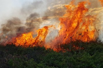 Cəbrayıl ərazisində başlayan yanğın sərhəd boyunca yayıldı