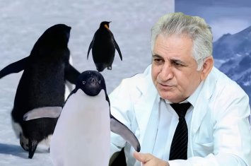 Zooloq məşhur “nihilist pinqvin”dən danışdı: “Bunu o vaxt müşahidə edə bilirsən ki...” - FOTO+ÖZƏL