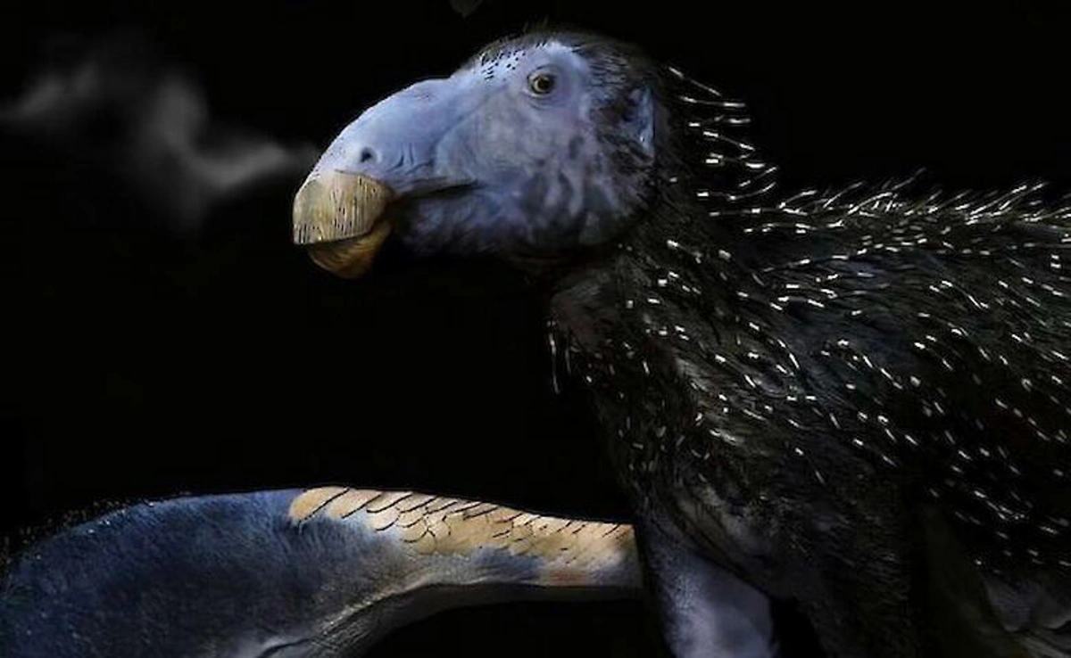 Çində tikanlı dinozavr qalıqları aşkar edilib