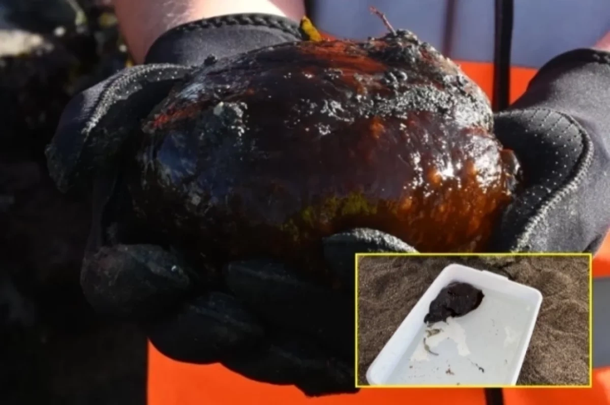 Beş yaşlı oğlan naməlum məxluq tapdı