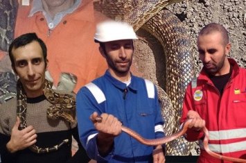 “Zəhərli ilanlara məni dişləməyə şans verməmişəm, qonşular biləndə ki evimdə ilan saxlayıram...” - FOTO+ÖZƏL