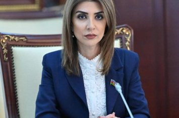 “Sosial mediada göstərilən ‘ideal həyat’ ilə real imkan gənclərdə depressiyanı artırır” – Günay Ağamalıyeva