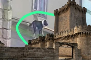 Mərdəkanda vəhşi it qalmaqalı: 8 nəfəri parçalayıb, ÖLÜM VAR - sahibsiz quduz köpək kimindir? - FOTO+ÖZƏL