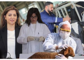 “Baytar çatışmazlığını aradan qaldırmaq üçün çalışırıq, əsas məqsədimiz budur ki...”- FOTO+ÖZƏL