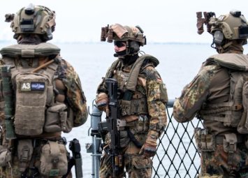 Bild: ФРГ на текущей неделе направит своих военнослужащих в Гренландию