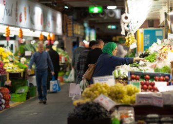 Kənd təsərrüfatında yerli sortların azalmasının səbəbləri bunlardır 