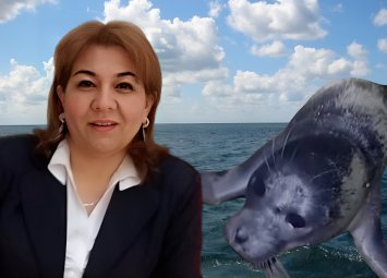 Şüvəlanda nadir hadisə-sahilə suiti çıxdı-ekoloqdan XƏBƏRDARLIQ: “Qırmızı kitab”-a düşməlidirlər”-FOTO+ÖZƏL