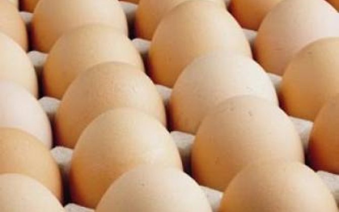 Yumurtanın qiymətini geri “oxutdurdular” 
