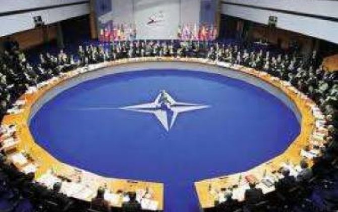 Krım Rusiyaya birləşdirilsə Gürcüstan NATO-ya daxil olacaq 