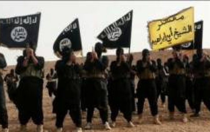 Avropada və ABŞ-da İŞİD-i daha sevirlər, nəinki Şərqdə -  ARAŞDIRMA