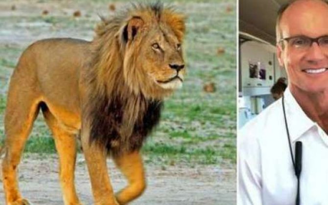 Afrikanın ən məşhur aslanını öldürən amerikalıya ittihamlar...  - VİDEO