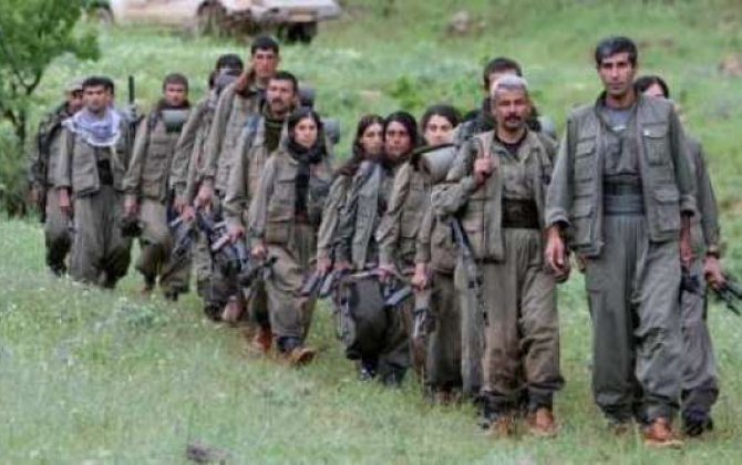Türkiyədə 20 PKK-çı təslim oldu 
