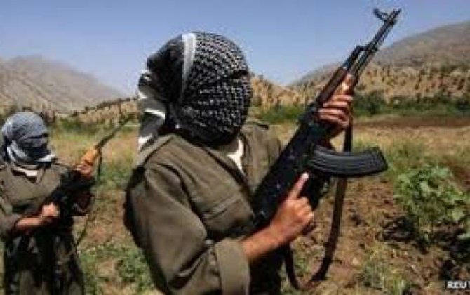 Qisas belə alınır:  140 şəhid əvəzinə 1480 PKK-çı öldürüldü