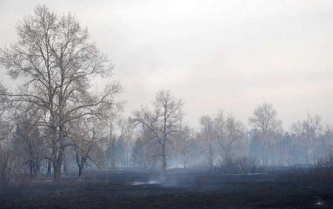Rusiyada bir sutkada 15 min hektar meşə yanıb 