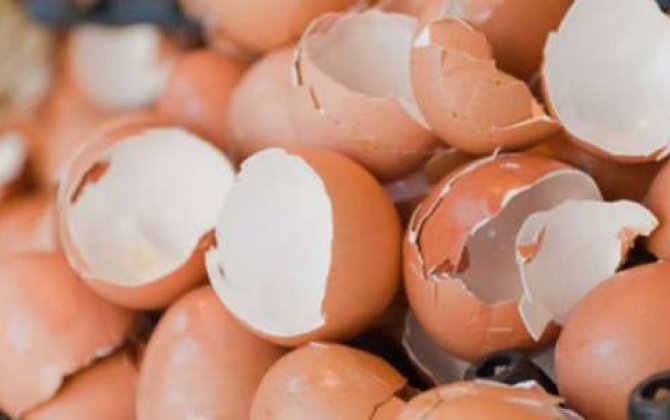 Yumurta qabığının  -MÃ–CÜZƏLİ FAYDALARI