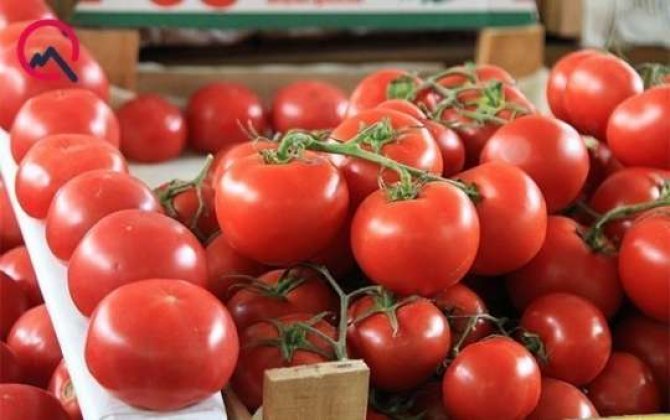 Rusiya 33 ton pomidoru Azərbaycana qaytardı 