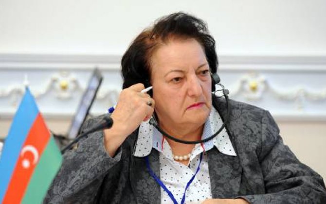 Elmira Süleymanova parlamentdə hesabat verir
 