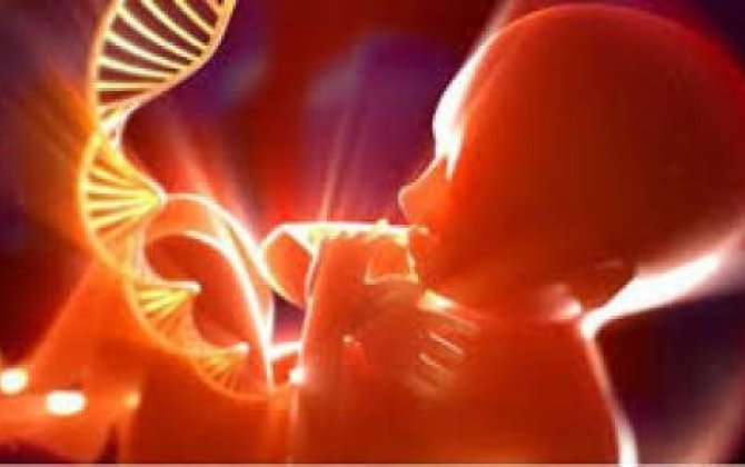 Valideyndə olan irsi xəstəliklərin sizə keçməməsi üçün, bunları bilməlisiniz  –  ARAŞDIRMA