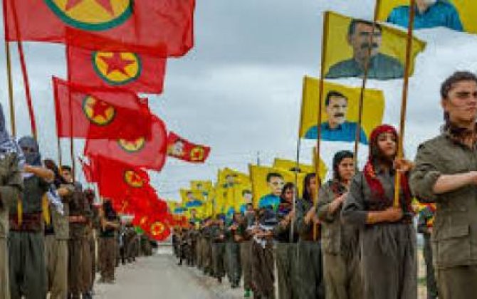 “PKK məsələsində Türkiyəyə dəstəyi artımalıyıq:  Erməni ilanının başını əzmək üçün!”