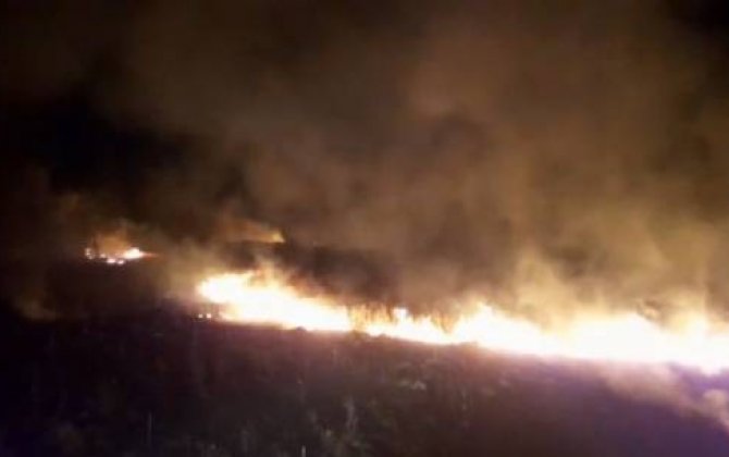 Kürdəmirdə 10 hektar biçilmiş taxıl sahəsi yandı 