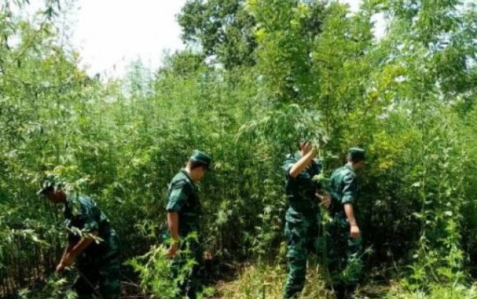 İrandan Azərbaycana narkotik keçirilməsinin qarşısı alındı 