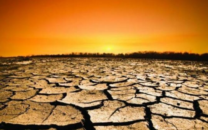 İqlim dəyişikliyi: Azərbaycanda biomüxtəliflik və su ehtiyatları azalır, orta illik temperatur artır - ARAŞDIRMA