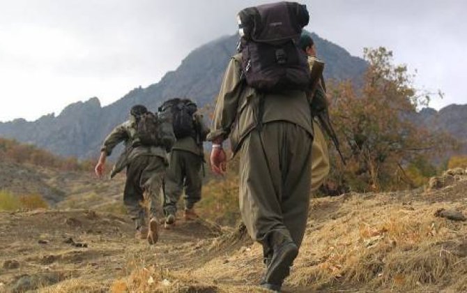 PKK-nın 13 terrorçusu Türkiyənin təhlükəsizlik qüvvələrinə təslim olub 