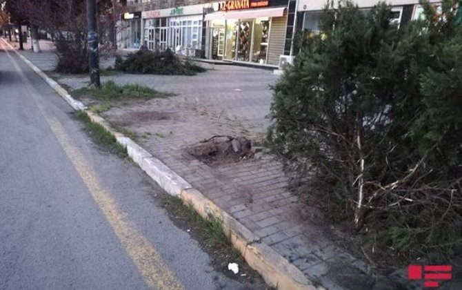 Sumqayıtda yol polisi əməkdaşı qəza törətdi,  özü və həyat yoldaşı xəstəxanalıq oldu - FOTO