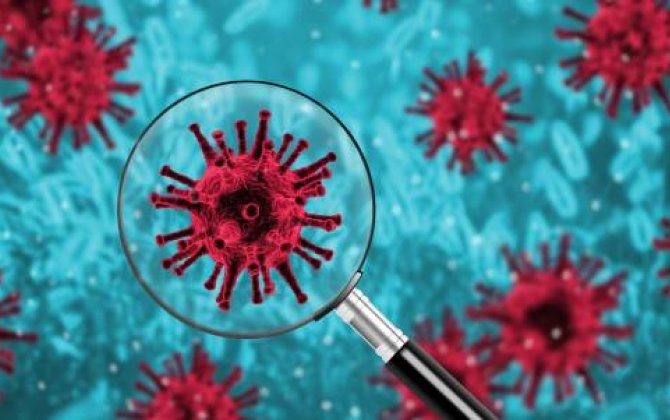 Böyük Britaniya hökuməti:  Koronavirus laboratoriyadan sızıb