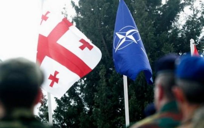 NATO Gürcüstanı \