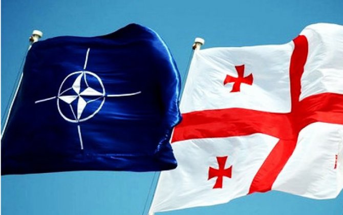 Блок НАТО заинтересован в сотрудничестве с Грузией в контексте Черного моря