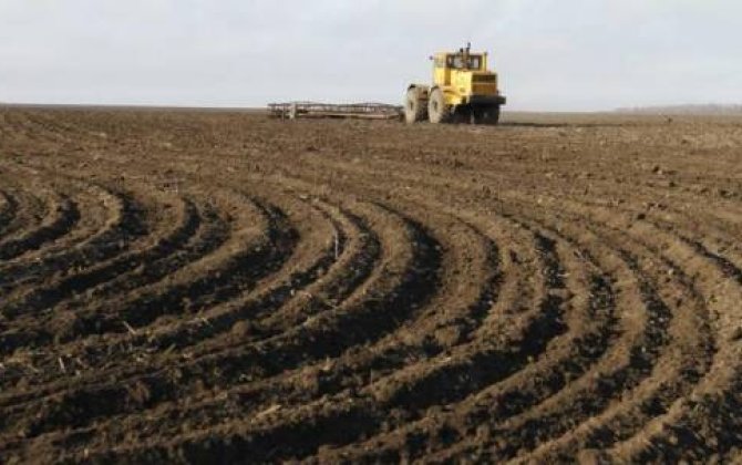 Bu şəxslərə pulsuz torpaq sahəsi veriləcək 