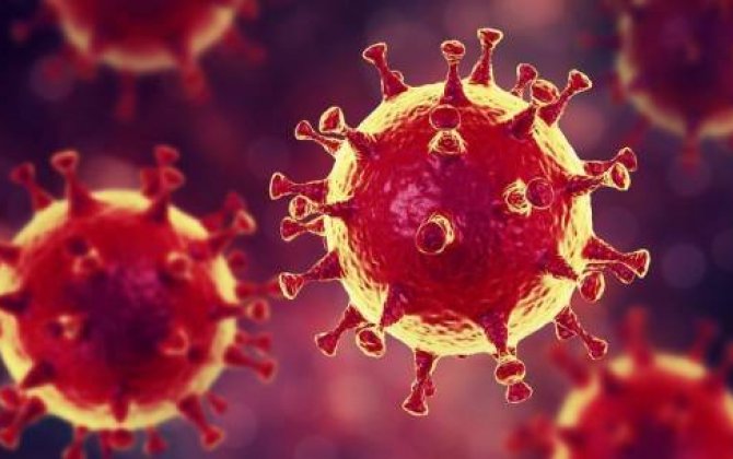 Koronavirus məlum olduğundan 4 qat az öldürür - YENİ ARAŞDIRMA