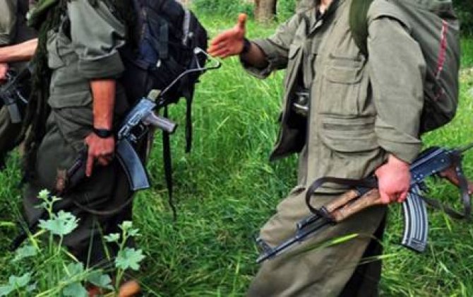 Türkiyə təhlükəsizlik qüvvələri başına 500 min mükafat qoyulmuş PKK terrorçusunu məhv etdi